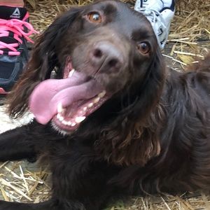 Meet your Posher, Lynne